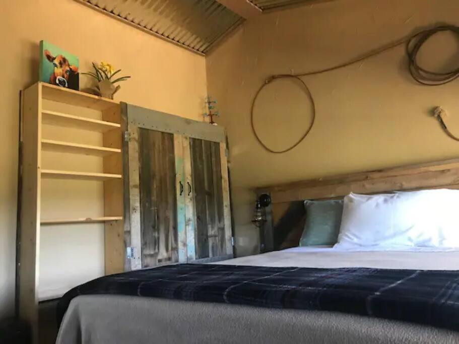 Cottonwood Creek Cabins - Alpine, Tx المظهر الخارجي الصورة