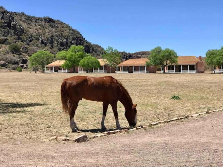Cottonwood Creek Cabins - Alpine, Tx المظهر الخارجي الصورة
