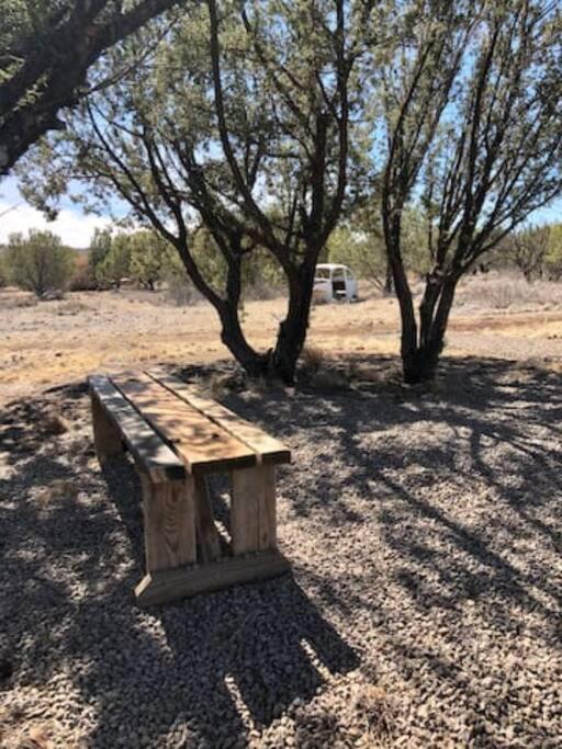Cottonwood Creek Cabins - Alpine, Tx المظهر الخارجي الصورة