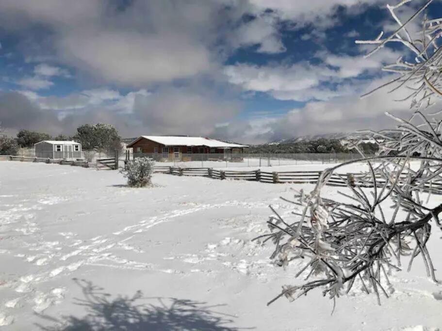 Cottonwood Creek Cabins - Alpine, Tx المظهر الخارجي الصورة