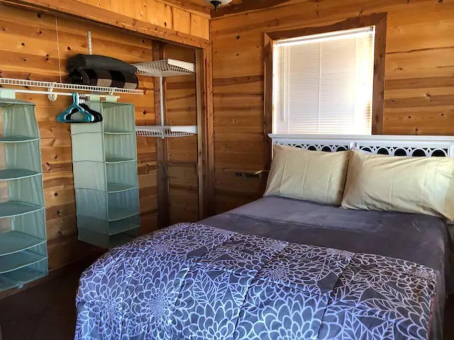 Cottonwood Creek Cabins - Alpine, Tx المظهر الخارجي الصورة