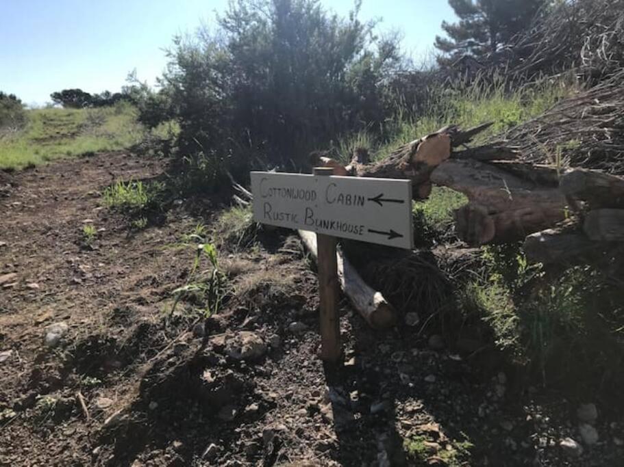 Cottonwood Creek Cabins - Alpine, Tx المظهر الخارجي الصورة